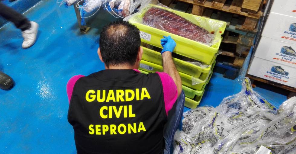 Las otras amenazas alimentarias que vigila la UE: contrabando de carne de primate, atún adulterado, parásitos de mapache…