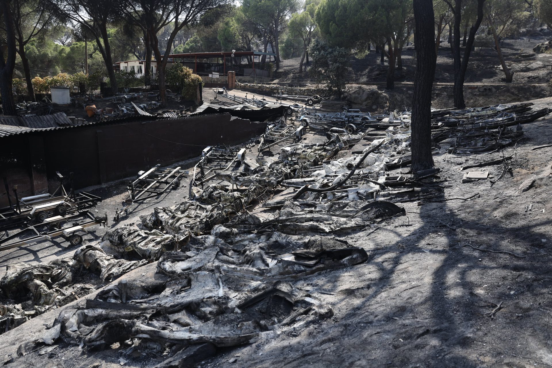 Olas de calor inéditas y el cambio de nuestra relación con el campo: el cóctel tras los incendios que asolan España