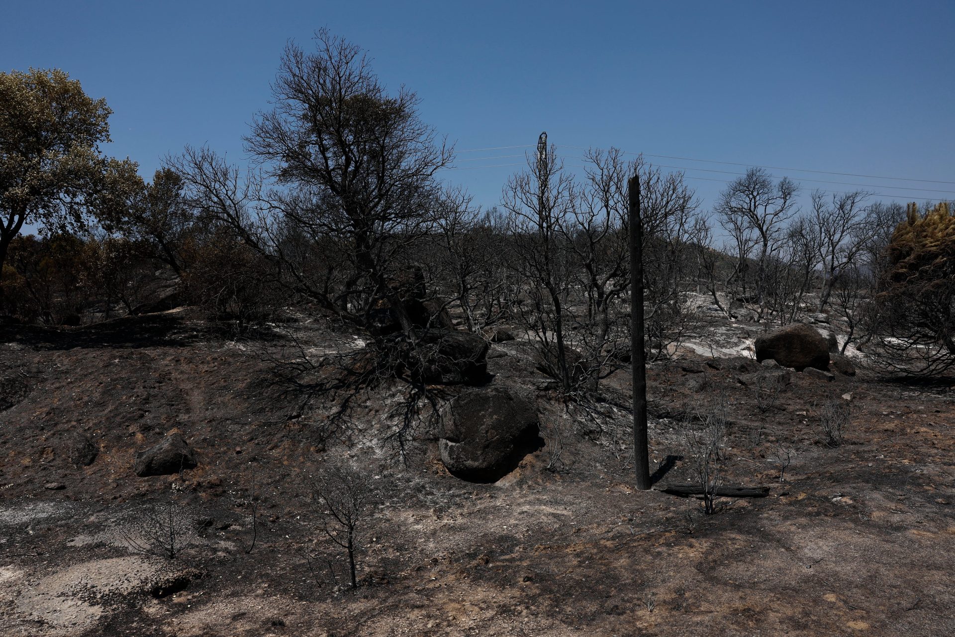 Los incendios que sí sabíamos cómo evitar