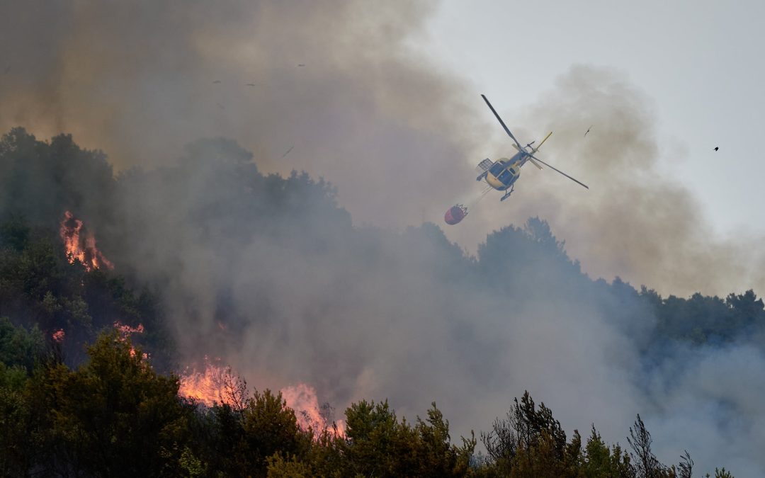 Una fiscalidad forestal para apagar el fuego