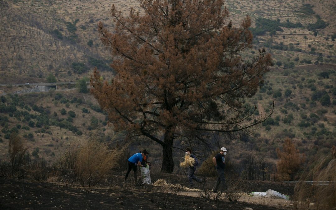 Una carrera contrarreloj para evitar que las cenizas de los incendios contaminen ríos y embalses