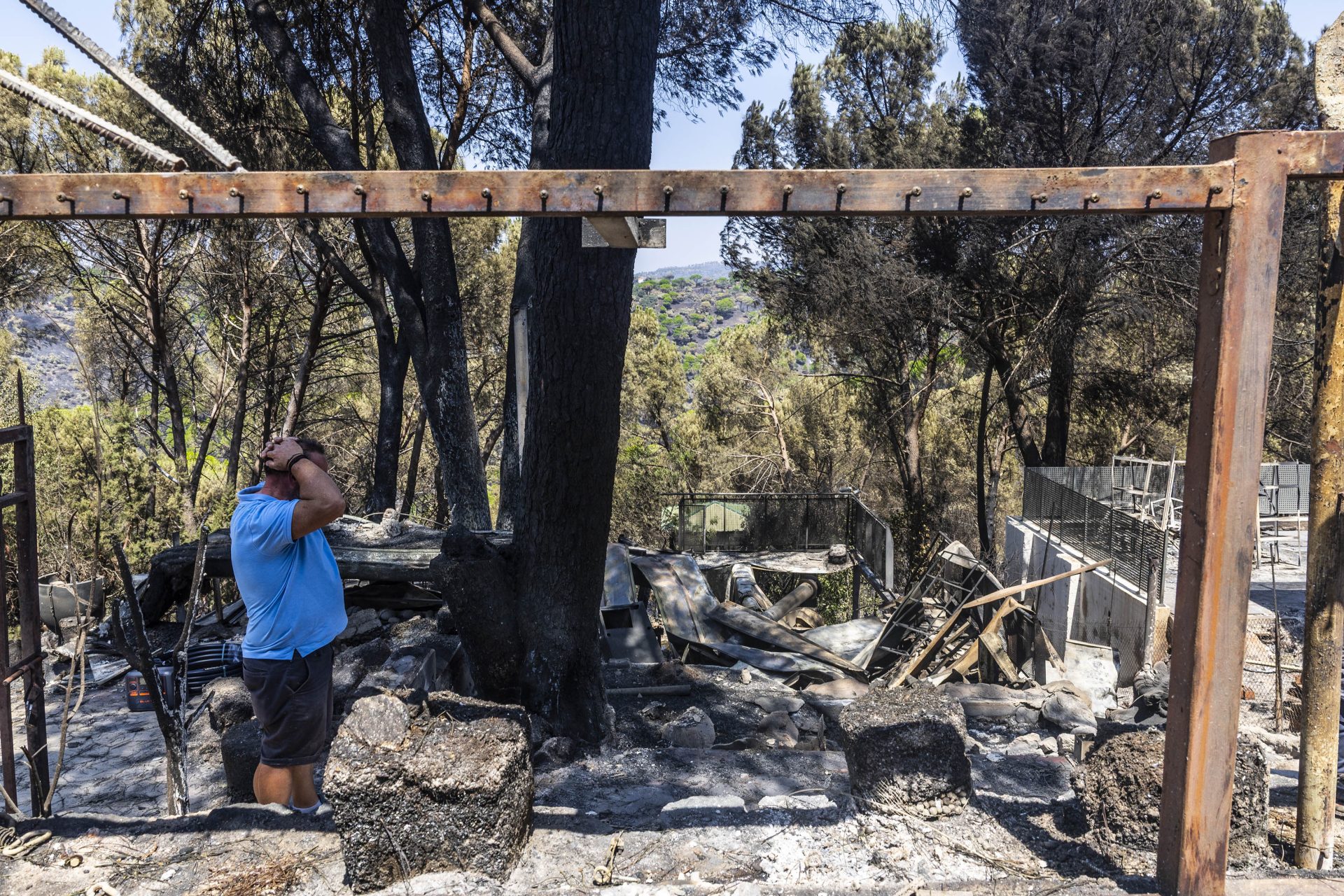 La cicatriz negra: viaje al paisaje después del fuego