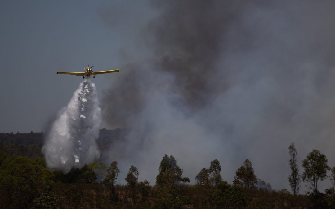 España, en alerta roja por miedo a los incendios por negligencias durante la observación del eclipse