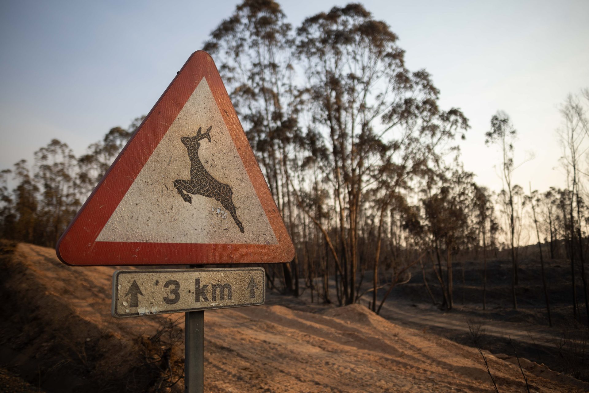 Elegir entre el dogma negacionista o la defensa del territorio frente a los incendios