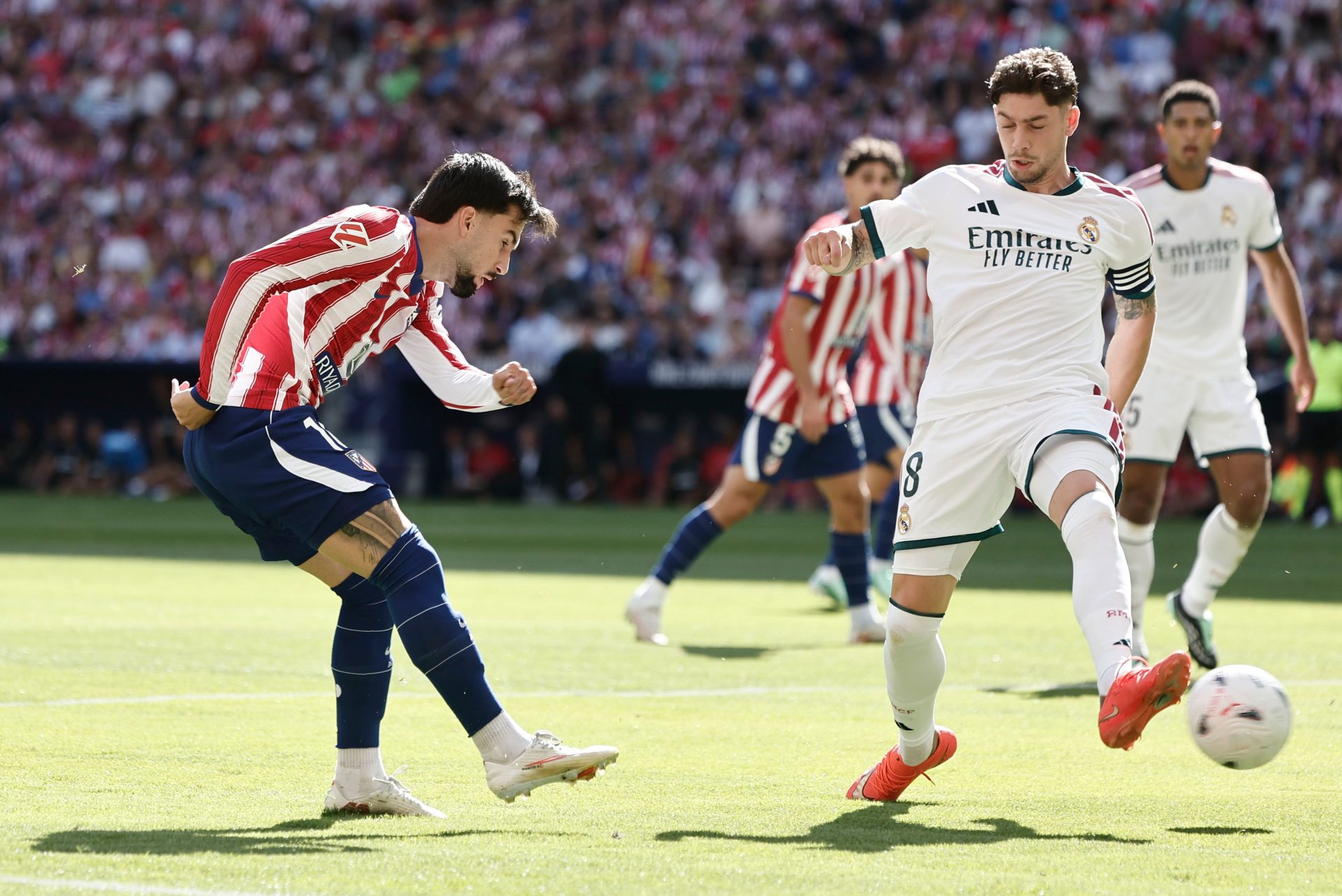 Fede Valverde sufre un esguince grave de tobillo y podría estar hasta tres semanas de baja