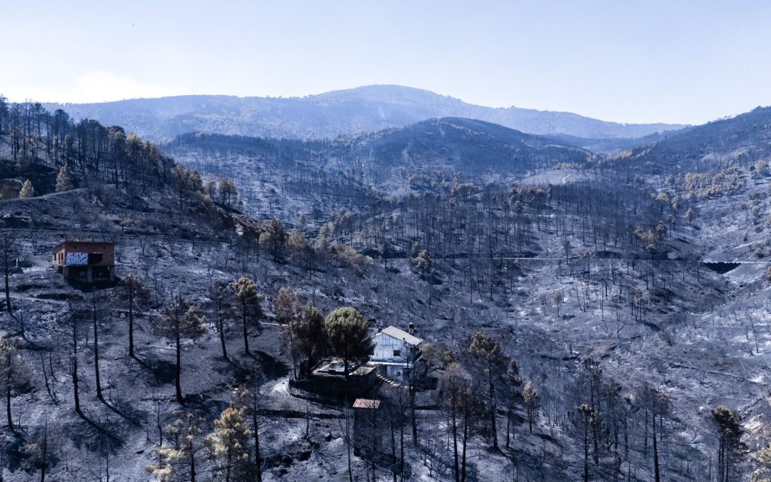 El cambio climático es la verdadera ‘prioridad nacional’