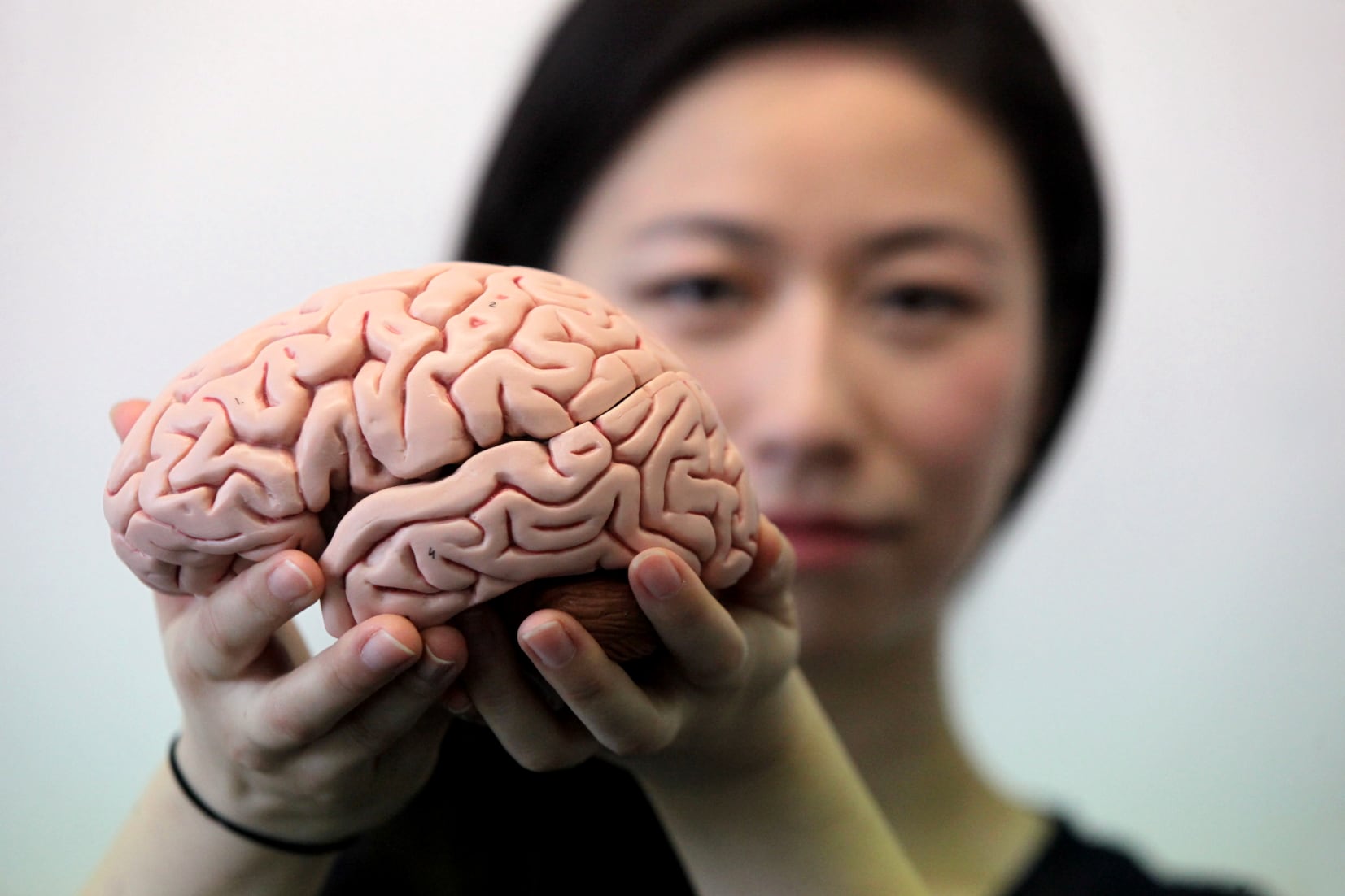 Las edades del cerebro: el atlas más detallado de la corteza prefrontal revela cómo cambia y envejece a lo largo de la vida