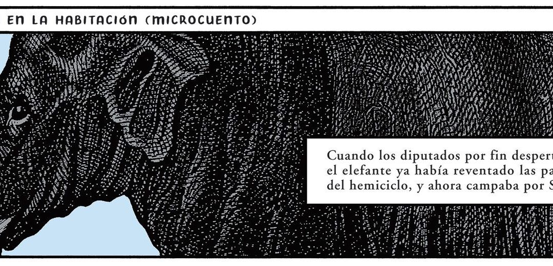 Trampantojo: El elefante en la habitación (microcuento)